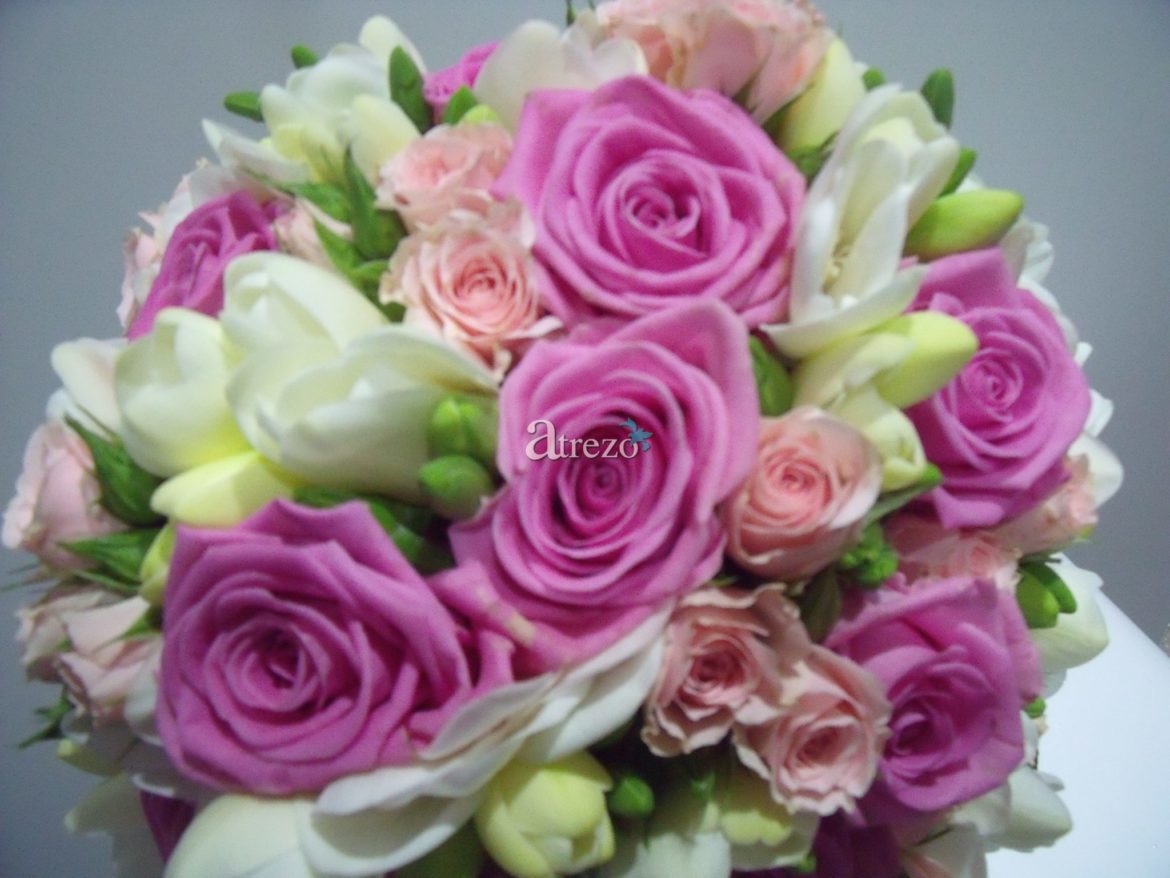 Rosa con toques blancos y verdes arriba