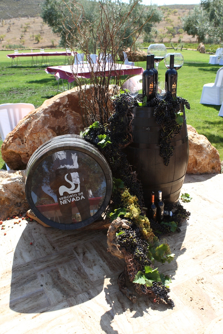 Bodegon Sencillo