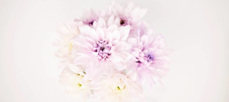 Las Flores De Temporada En Otono